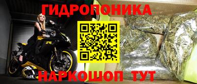 дживик Донецк