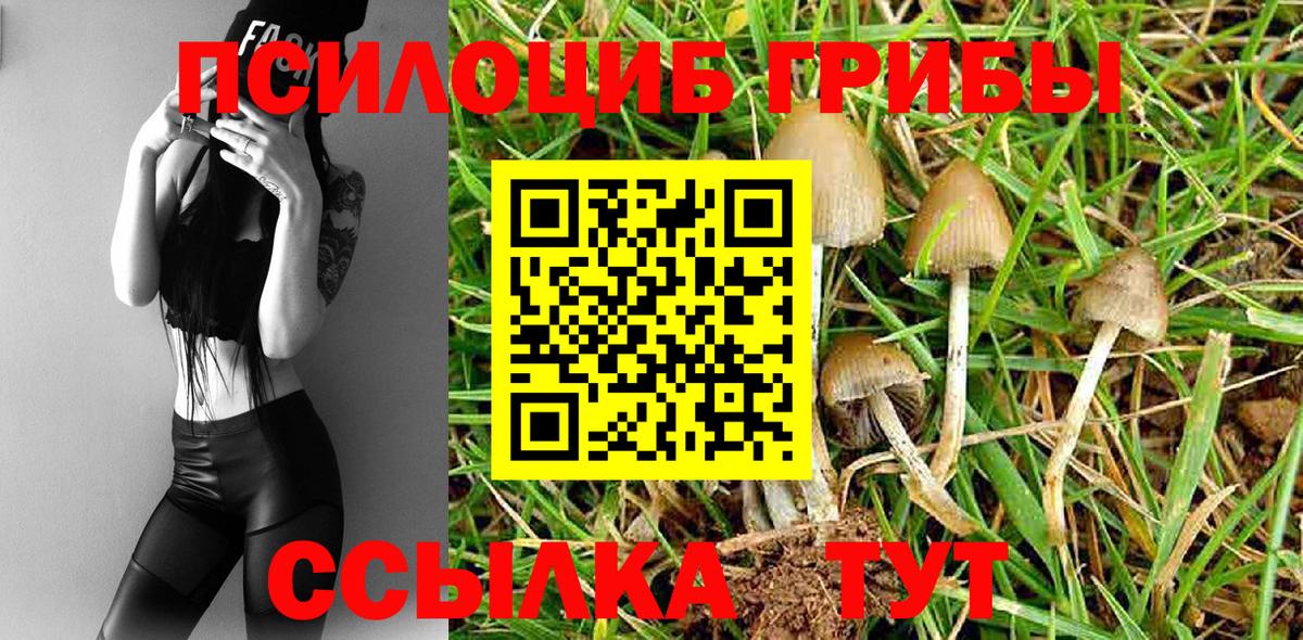 Галлюциногенные грибы Psilocybine cubensis  Вход с VPN  Псилоцибиновые грибы Psilocybine cubensis  Переславль-Залесский 