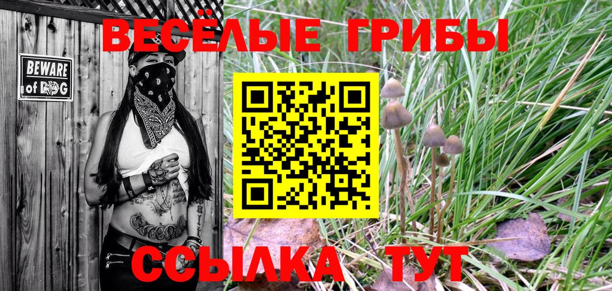 Псилоцибиновые грибы Cubensis Переславль-Залесский